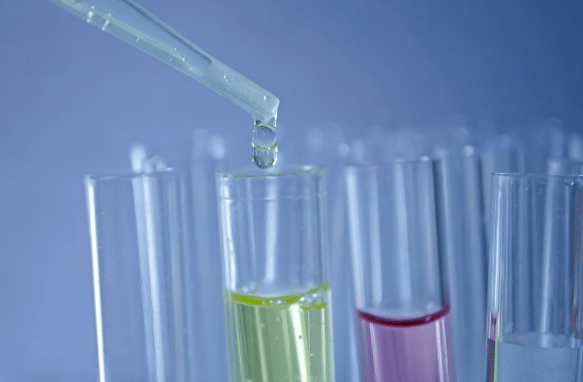 UPass Review (2025 Updated) Everything You Need to Know