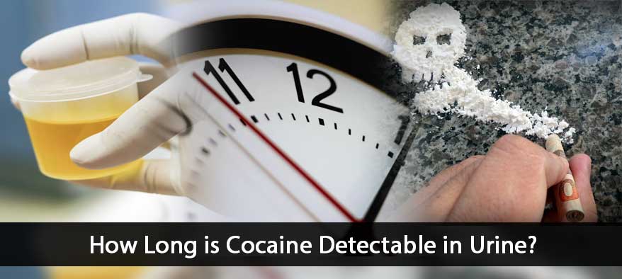 How Long is Cocaine Detectable Cover Image
