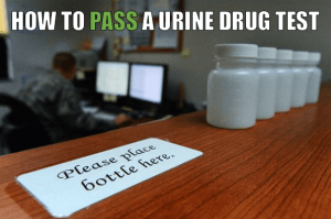 How to Pass a Urine Drug Test<br> Beating Urinalysis 101