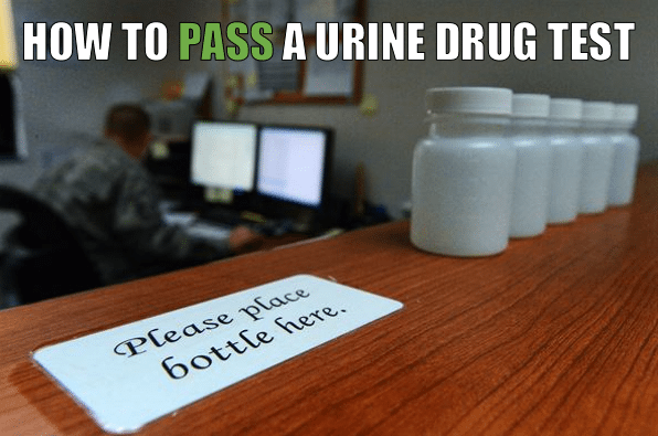 how to pass a urine drug test in 24 hours