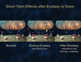 ecstasy short term effects