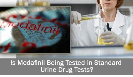 Modafinil on Drug test