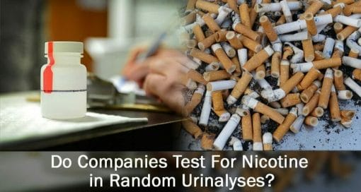Nicotine and urinalysis