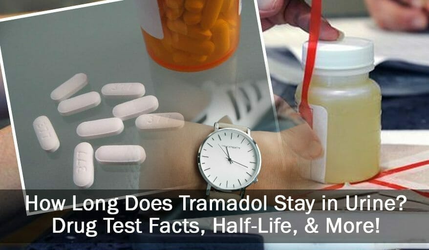 tramadol and urine test