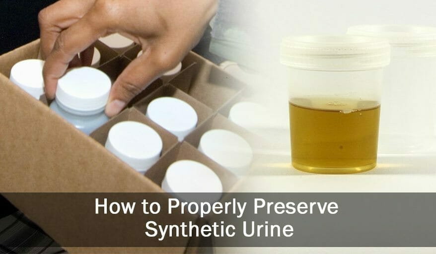 preserving synthetic urine properly