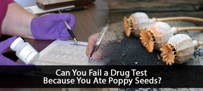 Poppy Seeds Cover Image