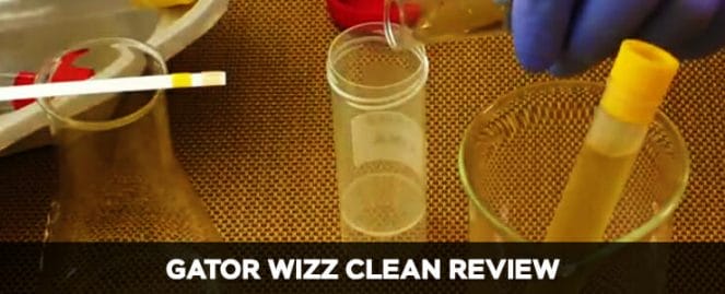 Gator Wizz Clean Review Featured Image