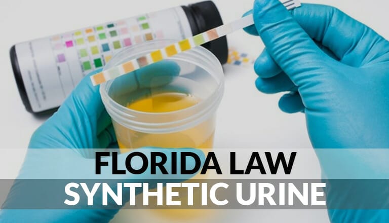 Florida Law Synthetic Urine featured image