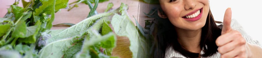 natural ingredients and thumbs up