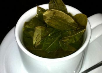 A cup full of coca tea leaves