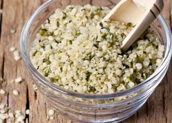 Foods to avoid before a urine drug test: a bowl with a scooper full of hemp seeds