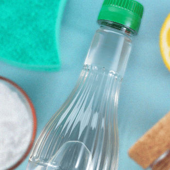 A vinegar inside a plastic bottle placed on a clean surface