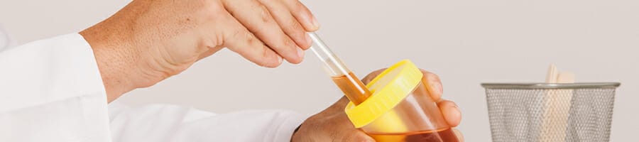 A doctor having a urine test