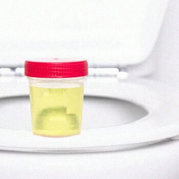 A synthetic urine sample on a toilet