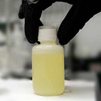 bottle filled with synthetic urine