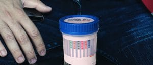 Identify® Drug Test Cups Review<br> Here’s Everything You Need to Know