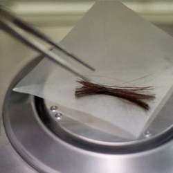 tweezers and a sample of hair