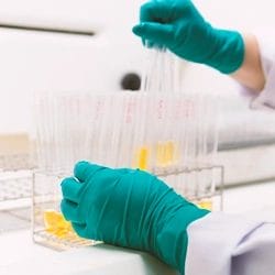A chemist holding tubes of urine